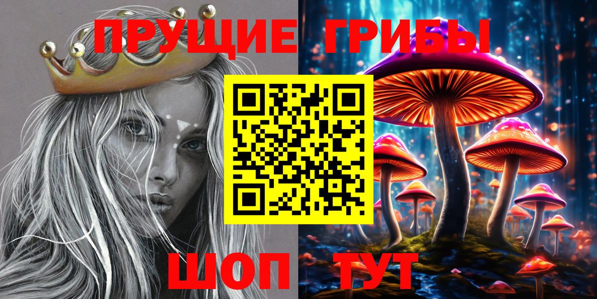 Псилоцибиновые грибы Psilocybine cubensis Обь